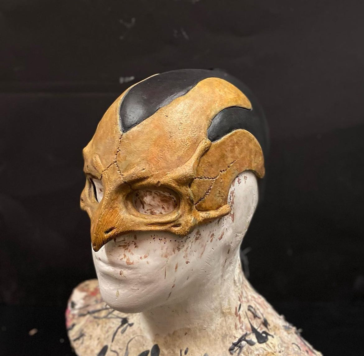 Bird-Man Mask